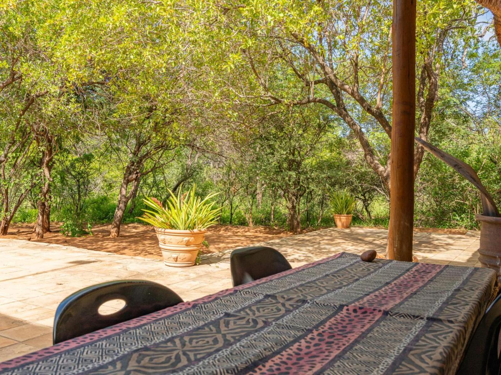 Impala Cottage Hoedspruit Zewnętrze zdjęcie