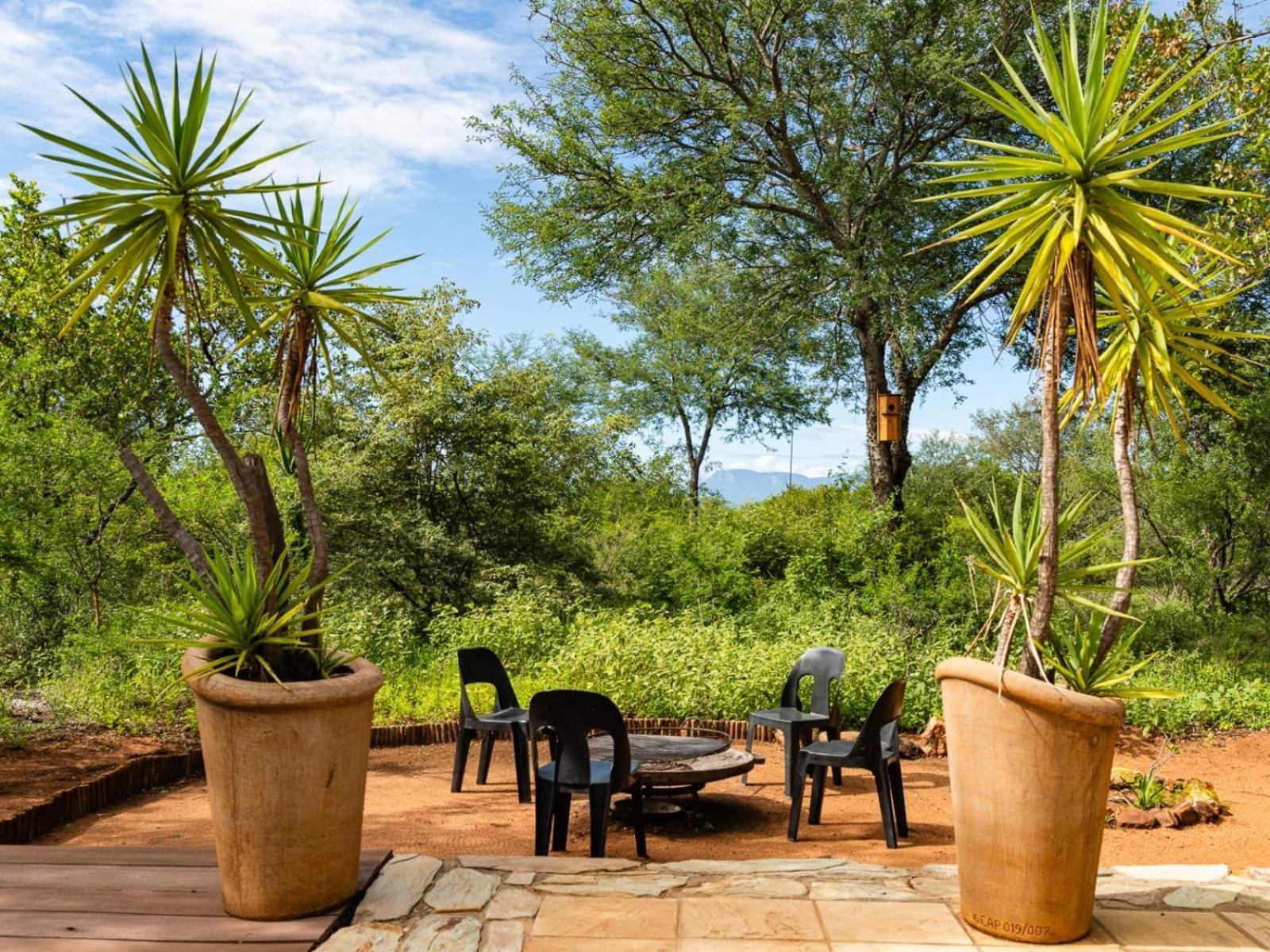 Impala Cottage Hoedspruit Zewnętrze zdjęcie