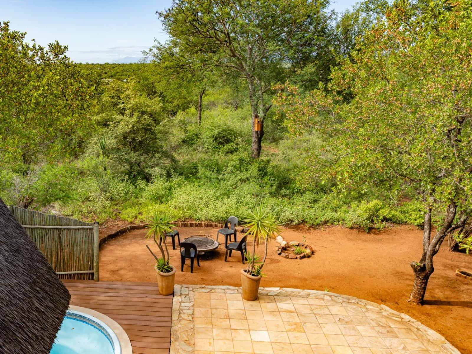 Impala Cottage Hoedspruit Zewnętrze zdjęcie